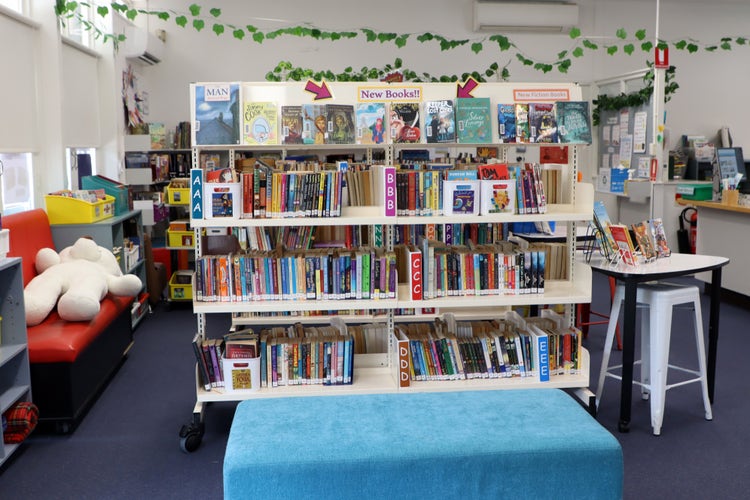 Library book shelves