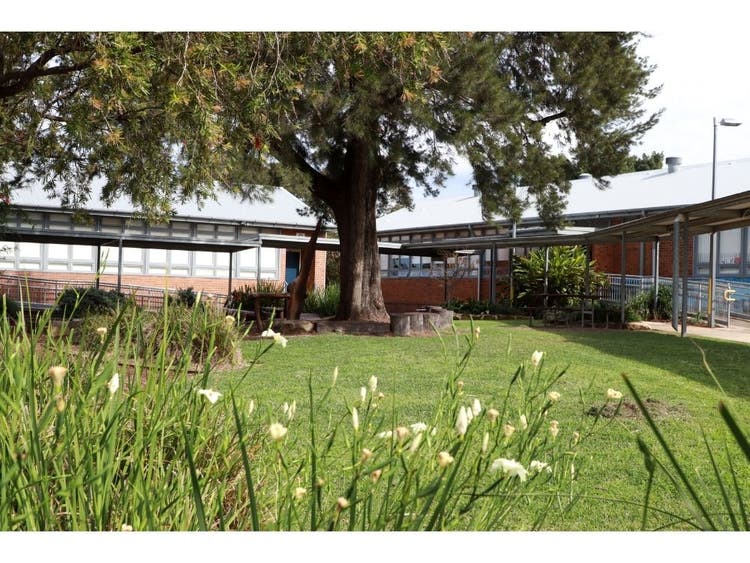 Photo a play area featuring a large tree with buildings int he background and flowers in the foreground